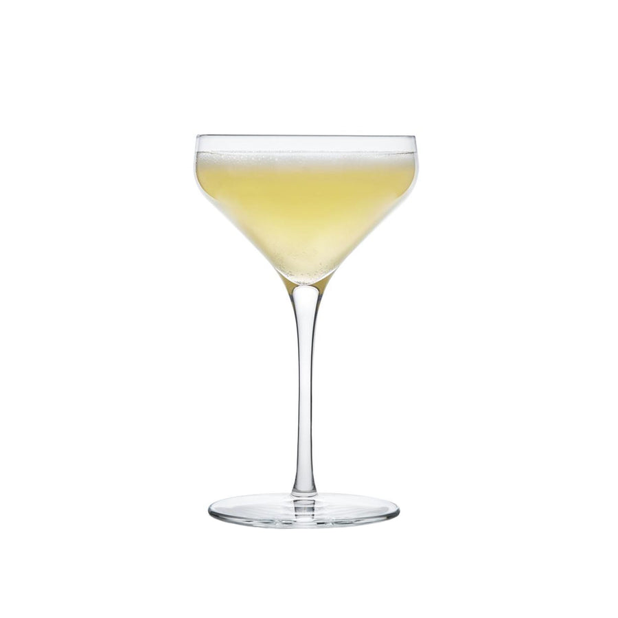 LIBBEY PRISM Coupe Sklenice 237 ml 12 Stück