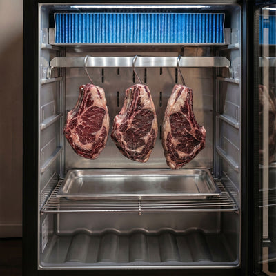Dry Aging Reifeschrank 595 mm 98 l Edelstahl